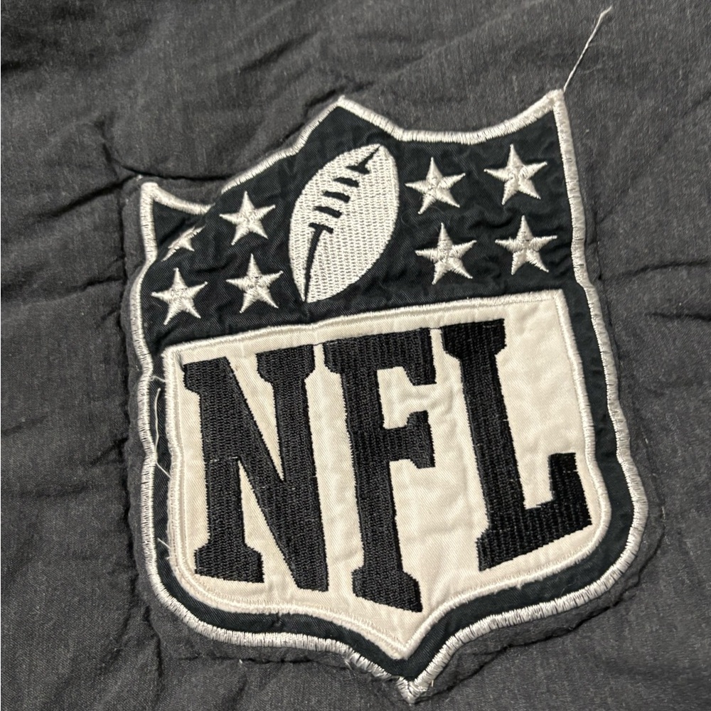 Pottery Barn Kids Gray NFL Pillow Cases (2) - Picture 2 of 6